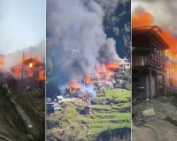 આંખો સામે રાખ થઈ ગયું અડધું ગામ; ગૌશાળાઓ પણ સળગી ગઈ