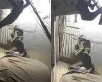 સ્પાઇડરમેન સ્ટાઇલમાં ઘરમાં ઘૂસ્યો ચોર, લગભગ 45 લાખનો મુદ્દામાલ લઈને થયો ફરાર