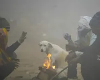 ગુજરાતમાં ઠંડીનો રાઉન્ડ શરૂ : કેટલાક વિસ્તારોમાં તાપમાન 10 ડિગ્રીથી નીચે જશે