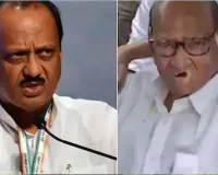 મહારાષ્ટ્ર મ્યુનિસિપલ ચૂંટણીમાં સત્તા માટે શું NCP ફરી એક થવા જઈ રહ્યું છે?