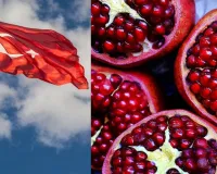 તુર્કીમાં નવા વર્ષે દાડમ કેમ ફોડવામાં આવે છે? શું છે તેના દાણાઓ સાથે કનેક્શન?