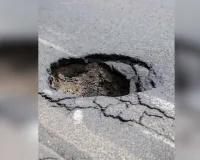 રસ્તા પર ખાડા હોવાની જાણ કરનારને મળશે રૂ. 5000, આ રાજ્યમાં આવી રહી છે નવી સ્કીમ