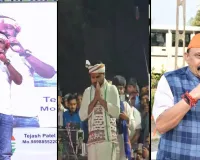 ભાજપના MLAએ ચૈતર વસાવા અને અનંત પટેલને સિંહ કહ્યા, સભામાં હાજર BJPના કાર્યકરો અને હોદ્દેદારો પણ સ્તબ્ધ