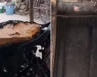 પિયરથી પત્ની ન આવી તો પરેશાન પતિએ સાસરિયાના ઘરે પેટ્રોલ છાંટીને આગ લગાવી દીધી