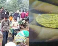 જે લોકોને સોનાનો સિક્કો મળ્યો તેઓ ગાયબ થઈ ગયા! રાજગઢમાં મળેલા 500 વર્ષ જૂના ખજાના વિશે ચોંકાવનારી હકીકત