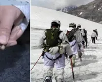 હાર્ટ એટેક અગાઉ મળશે એલર્ટ, દિલ્હીમાં બનેલી આ ચિપ બચાવશે તમારો જીવ!