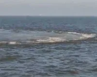 ગુજરાત નજીક દરિયામાં અજીબ હિલચાલ, પાણીમાં પરપોટાથી ગભરાટ, અરબી સમુદ્રમાં ગેસ લીકેજ કે બીજું કંઈક?