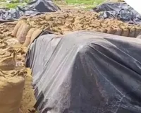 આવું કેવું? 7 કરોડનો ડાંગર ઉંદરો અને ઉધઈ કેવી રીતે ખાઈ ગયા?