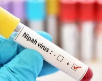 બંગાળમાં ફરી નિપાહ વાયરસની એન્ટ્રી! તેમાં 75 ટકા સુધી જીવ જવાનું જોખમ; જાણો કેટલો ભયાનક છે, અને તેને કેવી રીતે અટકાવવો