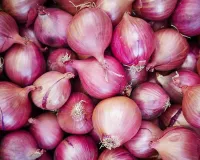 ડુંગળીના ભાવમાં ભડકો: છૂટક બજારમાં ભાવ ₹30 થી ₹50 પ્રતિ કિલોને પાર