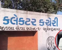 શું ગુજરાતની બધી જ કલેક્ટર કચેરીઓને ભ્રષ્ટ બનાવવા પાછળ ચૂંટાયેલા સ્થાનિક નેતાઓ જવાબદાર છે?