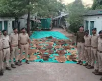 રાજપીપળામાં મંદિરના મકાનમાંથી 40થી વધુ વાઘના ચામડા અને 100થી વધારે નખ મળ્યા, ગુજરાતની પ્રથમ ઘટના