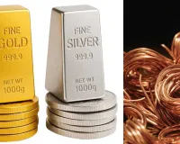 સોનું-ચાંદી નહીં, બમણી થવાની છે આ ધાતુ... રોબર્ટ ફ્રિડલેન્ડે સમજાવ્યું ગણિત