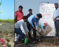 AM/NS Indiaનું સુરતમાં વિશાળ સ્તરે મૅન્ગ્રોવ વાવેતરની સાથે ગ્રીન કવરનું વિસ્તરણ