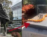 ઓસ્ટ્રેલિયામાં મહાત્મા ગાંધીની પ્રતિમાને મૂળમાંથી કાપીને ચોરો લઇ ગયા