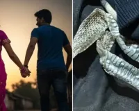નાગીન બનવાની અફવા ફેલાવી પ્રેમી સાથે ભાગી, બેડ પર છોડી ગઈ સાંપની ચામડી, બંગડીઓ અને સિંદૂર