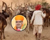 અહીંની સરકાર ગાયને ચરાવવા લઇ જનાર ગોવાળોને નોકરી આપી રહી છે... પગાર પણ આપશે, જાણો કેટલો મળશે