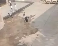 સુરતની સરકારી શાળામાં આચાર્યએ વિદ્યાર્થીઓ પાસે મજૂરોને જેમ ભરતડકે કામ કરાવ્યું