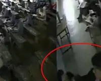 'તું કોણ છે મને સવાલ પૂછનારી?' મોડું આવવાનું કારણ પૂછતા 12મા ધોરણના વિદ્યાર્થીએ મહિલા ટીચરને લાફો મારી દીધો