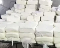 સુરતમાં 1400 કિલો નકલી પનીર પકડાયું, પામ ઓઈલ, કેમિકલથી બનાવતા, કેવી રીતે ઓળખવું?