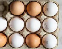 દરેક ઈંડા પર લખવી પડશે એક્સપાયરી ડેટ, યોગી સરકાર કડક નિયમો લાગૂ કરવા જઇ રહી છે