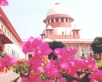 પત્ની છે, નોકરાણી નહીં... રસોઈ બનાવવા, કપડા ધોવામાં પણ મદદ કરો; છૂટાછેડા માંગતા પતિને સુપ્રીમ કોર્ટનો ઠપકો