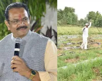 ગુજરાત સરકારે ટુકડાધારા કાયદામાં સુધારા માટે વટહુકમ બહાર પાડ્યો, હવે 20ને બદલે 10 ગુંઠા જમીનનું જ ખરીદ-વેચાણ કરી શકાશે