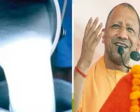 દૂધ ઉત્પાદનમાં ઉત્તર પ્રદેશે દેશમાં મેળવ્યું સર્વોચ્ચ સ્થાન, ડેરી કામગીરીની જવાબદારી મહિલાઓએ સંભાળી છે!