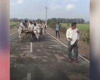 ગાયની અંતિમયાત્રા નીકળી, પરિવારે કહ્યું- 'તે અમારા માટે મા જેવી હતી...' શ્રાદ્ધ પણ કરશે!