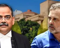 રાહુલ ગાંધી બેવડી નાગરિકતા કેસથી અલગ થયા જસ્ટિસ વિદ્યાર્થી, જણાવ્યું કારણ