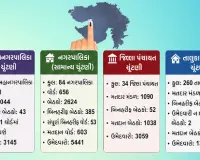 ગુજરાત સ્થાનિક સ્વરાજ ચૂંટણી: 9263 બેઠકો માટે 25537 ઉમેદવારો મેદાને, કોણ બાજી મારશે?