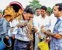 2019માં સરકારી અધિકારી પર કાદવ ફેકનારા BJP નેતા અને મંત્રી નિતેશ રાણેને 1 મહિનાની સજા, પણ જેલ નહીં જાય