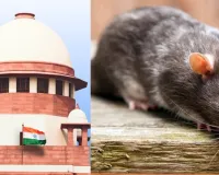 ‘લાંચના પૈસા ઉંદરો ખાઈ જતા...’ સુપ્રીમ કોર્ટે દોષિત મહિલા અધિકારીને જામીન આપી દીધા અને સજા પર રોક લગાવી દીધી