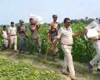 બંગાળમાં TMC નેતાના ફાર્મહાઉસ નજીક જમીનમાંથી મળ્યા 2.24 કરોડ, ગણતરી હજુ ચાલુ છે