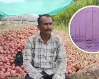 કિલો ડુંગળીના 50 પૈસા... 600 કિલો ડુંગળી વેચીને ખેડૂતને મળ્યા 301 રૂપિયા, પોતાના ખિસ્સામાંથી રૂ. 1082 ચૂકવ્યા