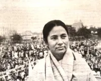શું TMC પોતાનું અસ્તિત્વ બચાવી શકશે? મમતા બેનર્જીનો પક્ષ 28 વર્ષના સૌથી ગંભીર સંકટમાં