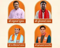 ગુજરાતના રાજ્યસભાના 4 ઉમેદવારો કોણ છે, 3નું છે RSS કનેક્શન, જાણો તમામ માહિતી