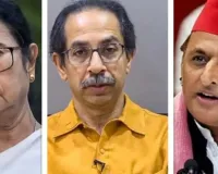 TMC-શિવસેનાની જેમ અખિલેશની પાર્ટીને તોડવી કેમ અઘરી છે? આંકડાઓની રમત સિવાય ઘણું બધું છે!