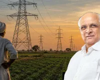 ગુજરાત સરકારના ખેડૂતો માટે મોટા નિર્ણયો: વીજ થાંભલા વળતરમાં વધારો, બજાર ભાવના બમણા દરે મળશે રકમ