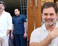 2029મા PM તરીકે વિપક્ષમાંથી કોણ? રાહુલ ગાંધી કે થલાપતિ વિજય... કોંગ્રેસ અને TVK નેતાઓ બાખડ્યા