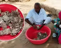 ચોરોથી બચાવવા ખેડૂતે રૂ. 5 લાખ રૂપિયા ખેતરમાં દાટી દીધા, નોટોમાં ઉધઈ લાગી ગઈ
