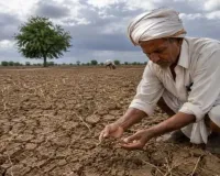 અડધું ગુજરાત વરસાદથી અછતગ્રસ્ત 