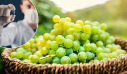 માનવ 150 વર્ષ સુધી જીવી શકશે; ચીની વૈજ્ઞાનિકોએ વૃદ્ધત્વ જલ્દી આવતું અટકાવવા માટે દવા વિકસાવી!