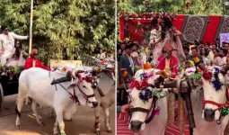 મુખ્યમંત્રીએ સાદગીથી કરાવ્યા પુત્રની સગાઈ, બળદગાડામાં પહોંચ્યા