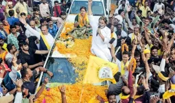 જીત્યા તો નહીં, પણ મત જરૂર કાપ્યા..., કંઈ-કંઈ સીટ પર પ્રશાંત કિશોરને કારણે બીજાને નુકસાન થયું?