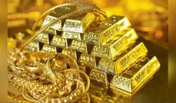 વર્લ્ડ ગોલ્ડ કાઉન્સીલના રિપોર્ટ મુજબ જાણો સોનાના ભાવ 2026માં વધશે કે ઘટશે?