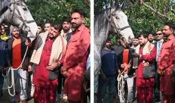 બ્રૃજ ભૂષણ શરણ સિંહને ગિફ્ટમાં મળ્યો ઘોડો, કિંમત જાણીને ઊડી જશે હોશ