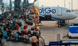 ઈન્ડિગો સામે સરકાર પગલા લેશે કે ખાલી તપાસ કરાવશે?