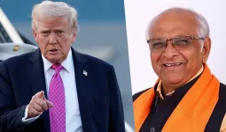 ટ્રમ્પ ચોખા પર ટેરિફ વધારશે તો ગુજરાતને 100 કરોડનો ફટકો લાગશે