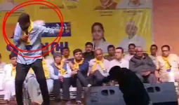 શું ગોપાલને હાથના કરેલા હૈયે વાગી રહ્યા છે?